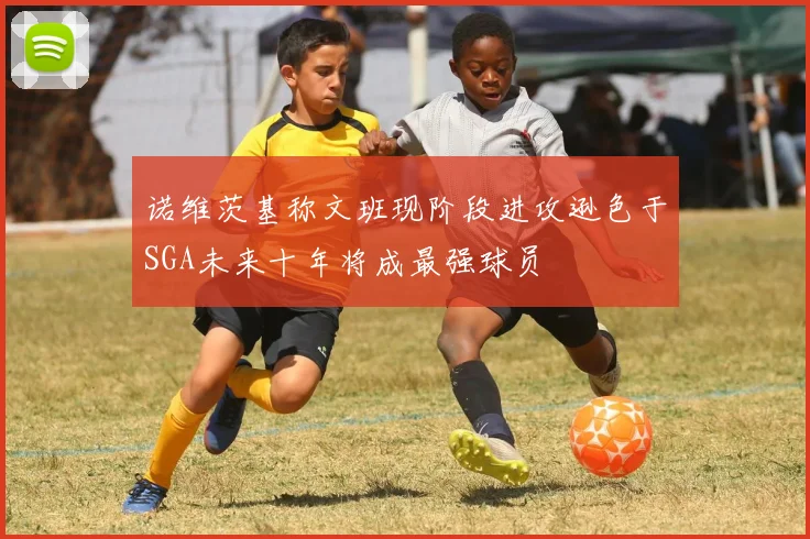 诺维茨基称文班现阶段进攻逊色于SGA未来十年将成最强球员